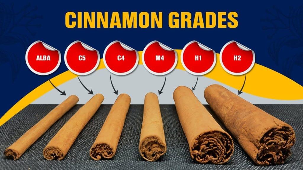 Cinnamon 